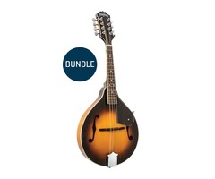 Washburn Mandolin Kit