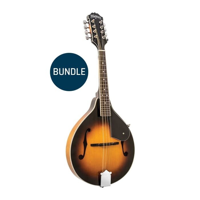 Washburn Mandolin Kit