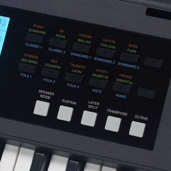 Medeli Nebula 61 Touch Elementary Keyboard