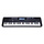 Nebula Series Keyboard, 49 Touch Sensitive Mini-Size