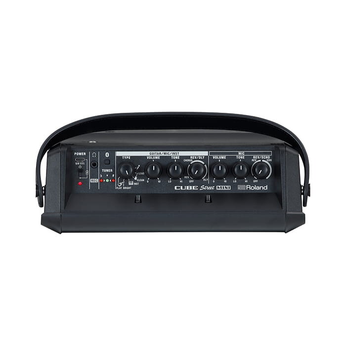 Roland Cube Street EX Mini Multi-Instrument Battery Amplifier