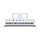 EZ-300 Digital Keyboard White