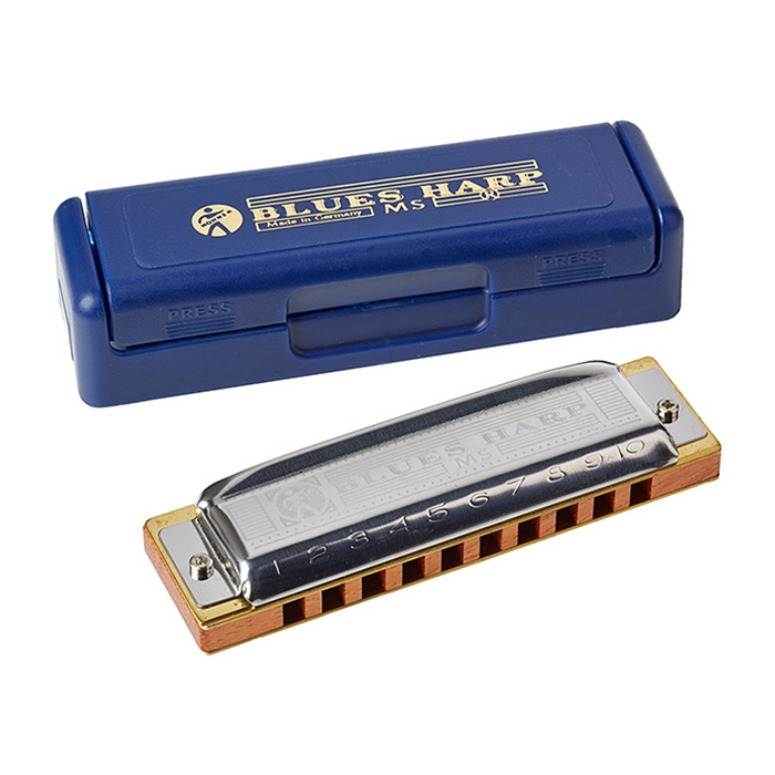 Hohner Blues Harp D