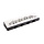 Speedy Child Harmonica