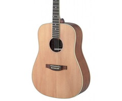 James Neligan ASY-D Acoustic Guitar LH