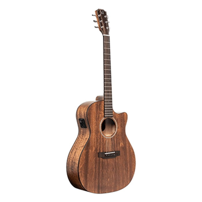 James Neligan Electro Acoustic Auditorium Cutaway Solid Top Mahogany