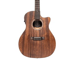 James Neligan Electro Acoustic Auditorium Cutaway Solid Top Mahogany
