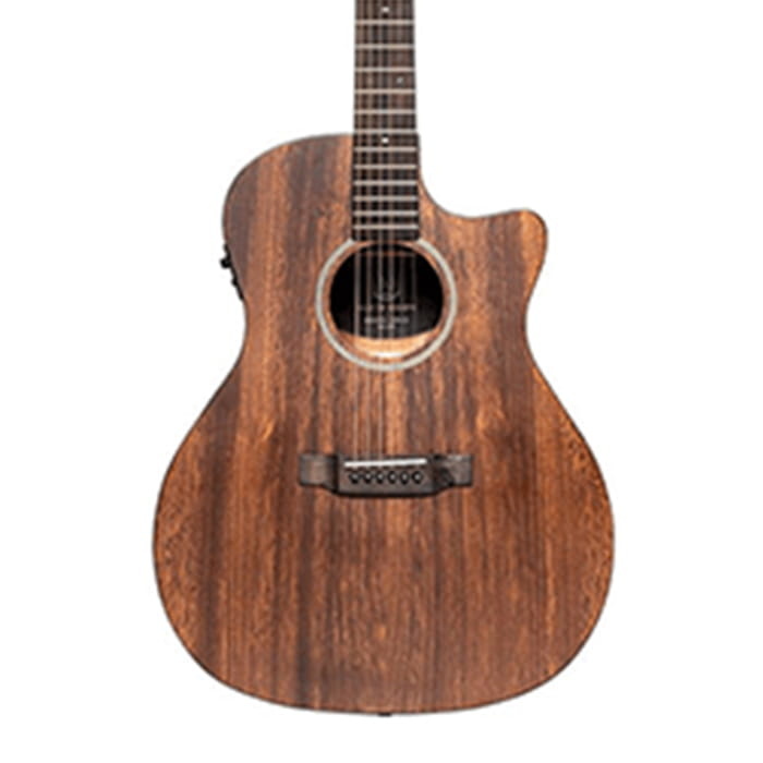James Neligan Electro Acoustic Auditorium Cutaway Solid Top Mahogany