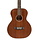 Acoustic Guitar Auditorium Sapel Natural