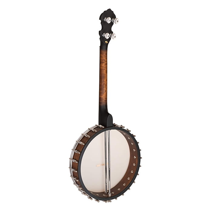Gold Tone Gild Tone Irish Tenor Banjo With 17 Frets and Gig Bag
