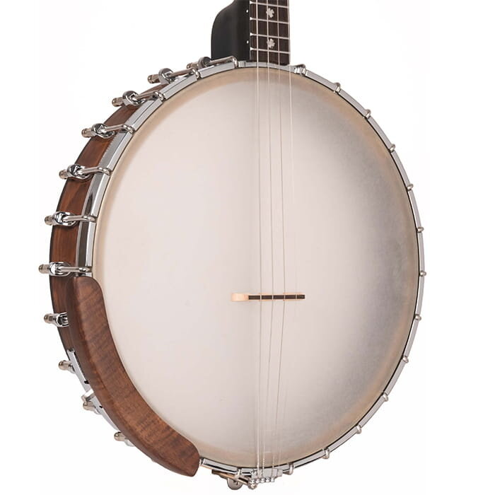 Gold Tone Gild Tone Irish Tenor Banjo With 17 Frets and Gig Bag