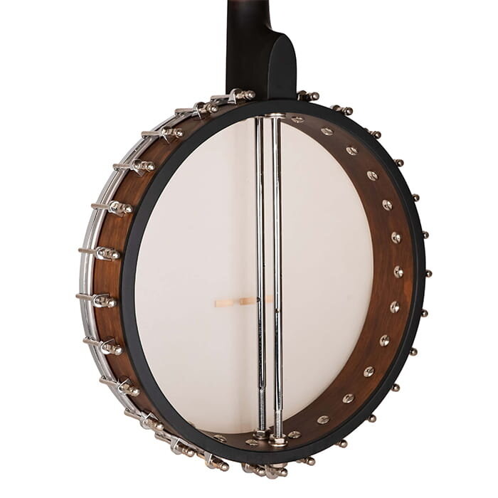 Gold Tone Gild Tone Irish Tenor Banjo With 17 Frets and Gig Bag