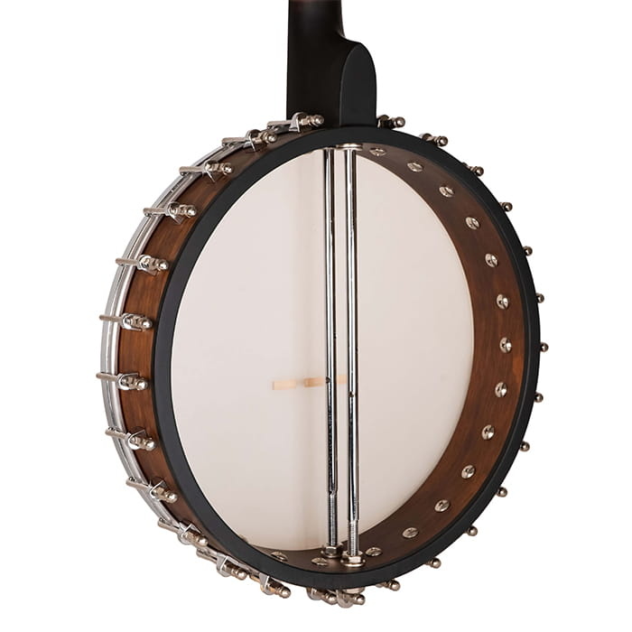 Gold Tone Gild Tone Irish Tenor Banjo With 17 Frets and Gig Bag