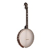 Gold Tone Gild Tone Irish Tenor Banjo With 17 Frets and Gig Bag
