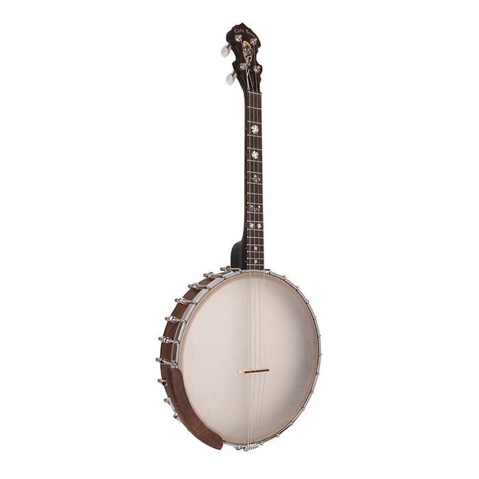 Gold Tone Gild Tone Irish Tenor Banjo With 17 Frets and Gig Bag