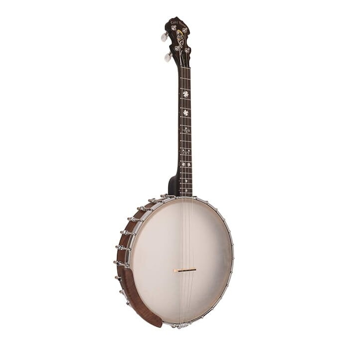 Gold Tone Gold Tone Irish Tenor Banjo With 17 Frets and Gig Bag