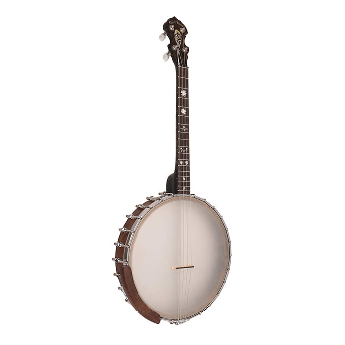 Gold Tone Gild Tone Irish Tenor Banjo With 17 Frets and Gig Bag