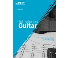 Introducing Guitar