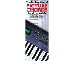 The Gig Bag Book of Picture  Chords