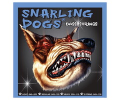 D'Andrea Snarling Dogs 5 String Bass 045-130