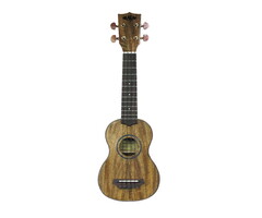 Kala KA-MSG Soprano Curly Mango Top, Back and Sides