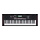 Portable Keyboard With Auto-Accompaniment Features