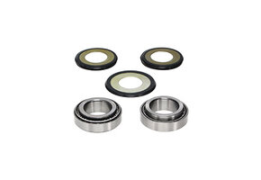 ProX Lenkkopf Lagersatz Fantic (All Models)