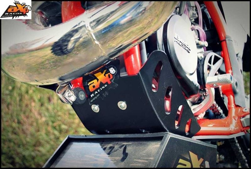 AXP 2014 - 2017 Beta 250RR / 300RR Motschutz - Schwarz