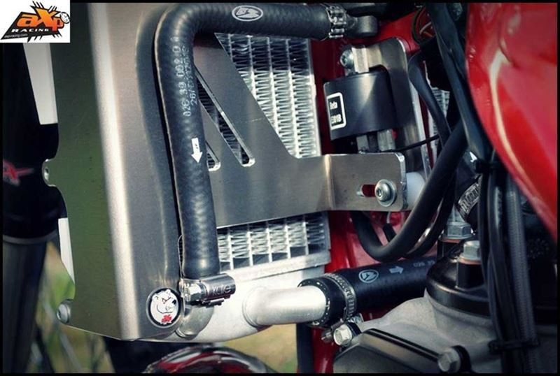 AXP 2014 - 2017 Beta 250 / 300RR Radiator Braces - Red Spacers