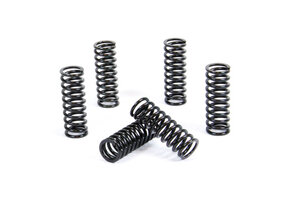 ProX Clutch Spring Kit Fantic XX 250