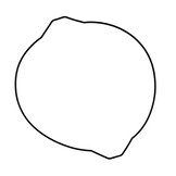 ProX Clutch Cover Gasket Fantic XX 250