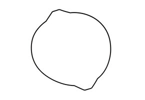 ProX Clutch Cover Gasket Fantic XX 250