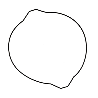 ProX Kupplungsdeckel Dichtung Fantic XX 250