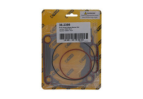 ProX Head & Base Gasket Set XX 250 2022-2025