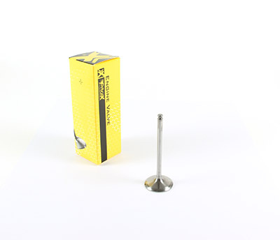 ProX Titanium Einlass Ventil Fantic XXF 250 2022-2025