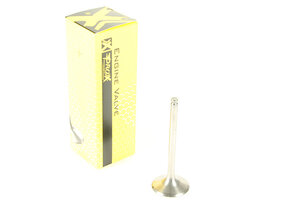 ProX Titanium Auspuff Ventil Fantic XXF 450 2022