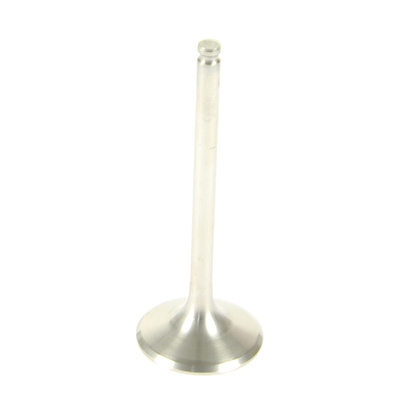 ProX Titanium Auspuff Ventil Fantic XXF 450 2022