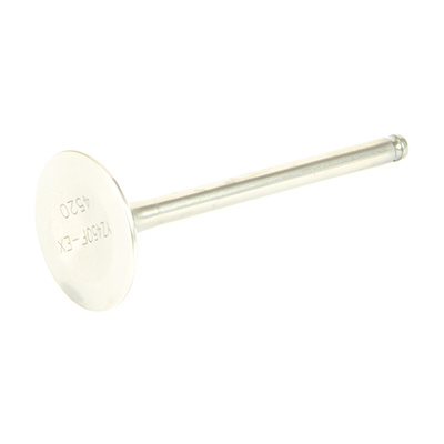 ProX Titanium Auspuff Ventil Fantic XXF 450 2022