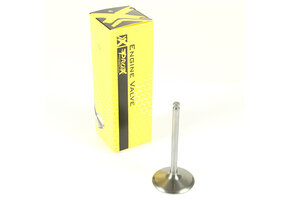 ProX Titanium Intake Valve Fantic XXF 450 2022