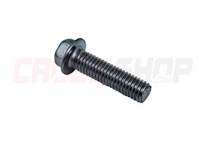 FANTIC - VITE M8x30 FLANGIA 14.5 (CH. 10) INCASSO PROFONDO