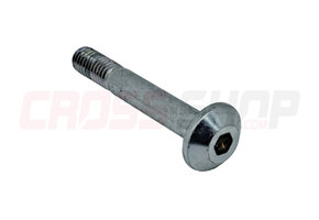 FANTIC - BOLT,HEX. SOCKET BUTTON
