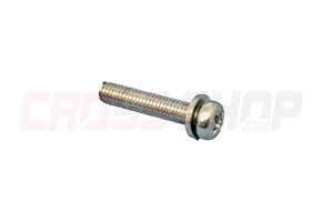 FANTIC - SCREW, PAN HEAD W/ WASHER