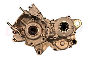 FANTIC - CRANKCASE 1