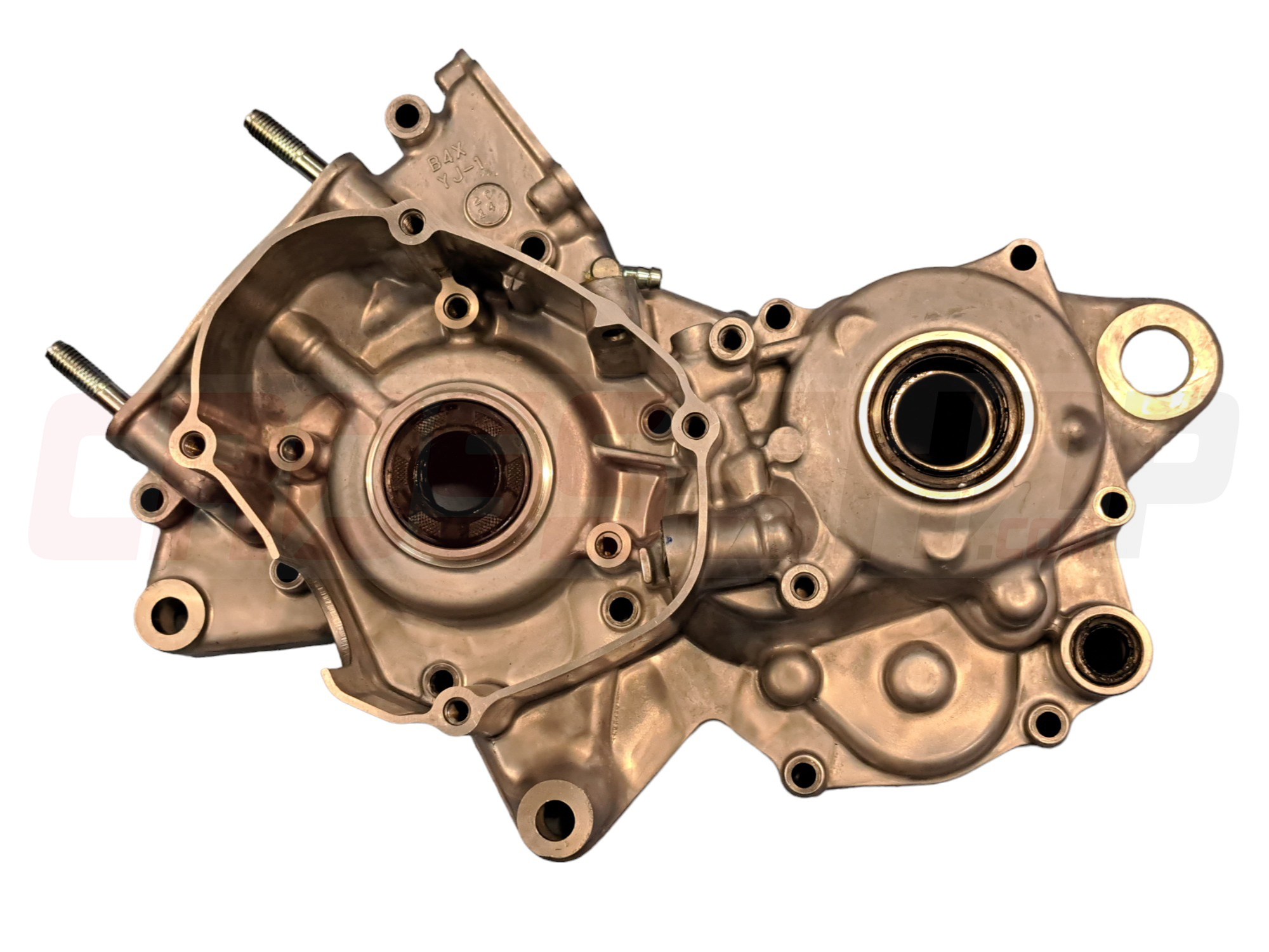 FANTIC - CRANKCASE 1