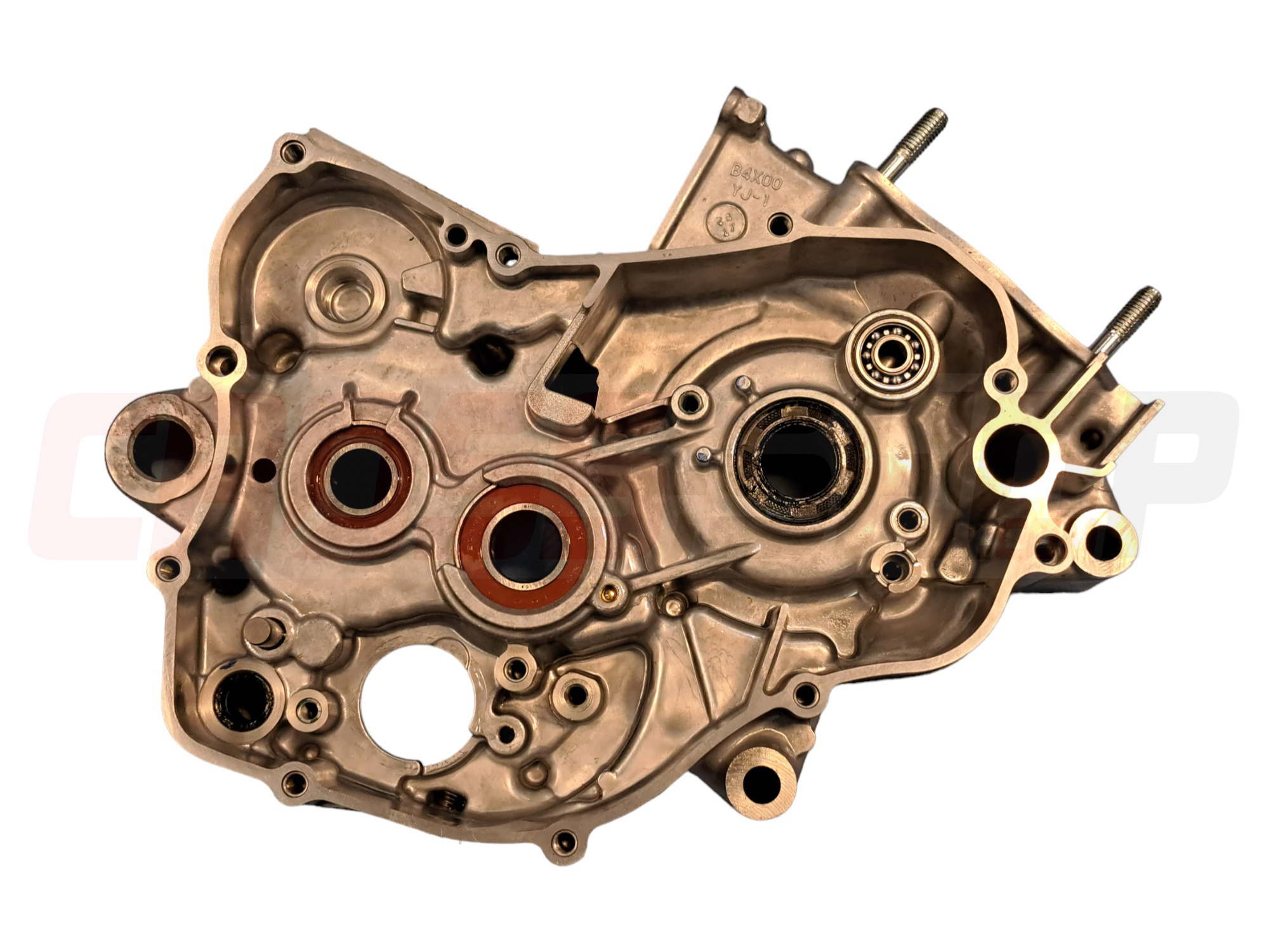 FANTIC - CRANKCASE 2