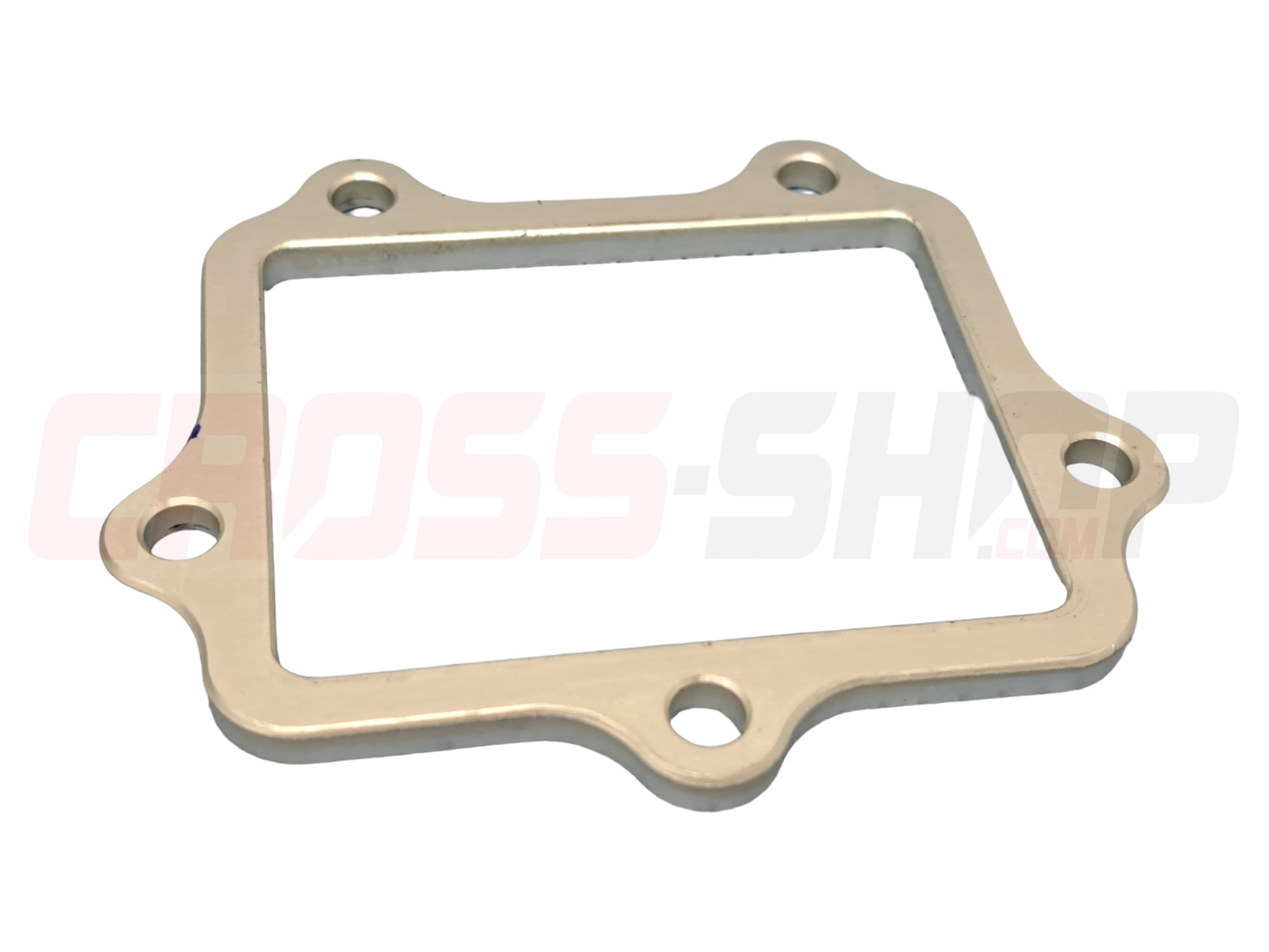 FANTIC - PLATE,REED VALVE