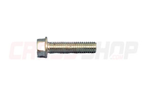 FANTIC - VITE M6X30 TE FLANGIATA