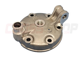 FANTIC - HEAD CYLINDER 1