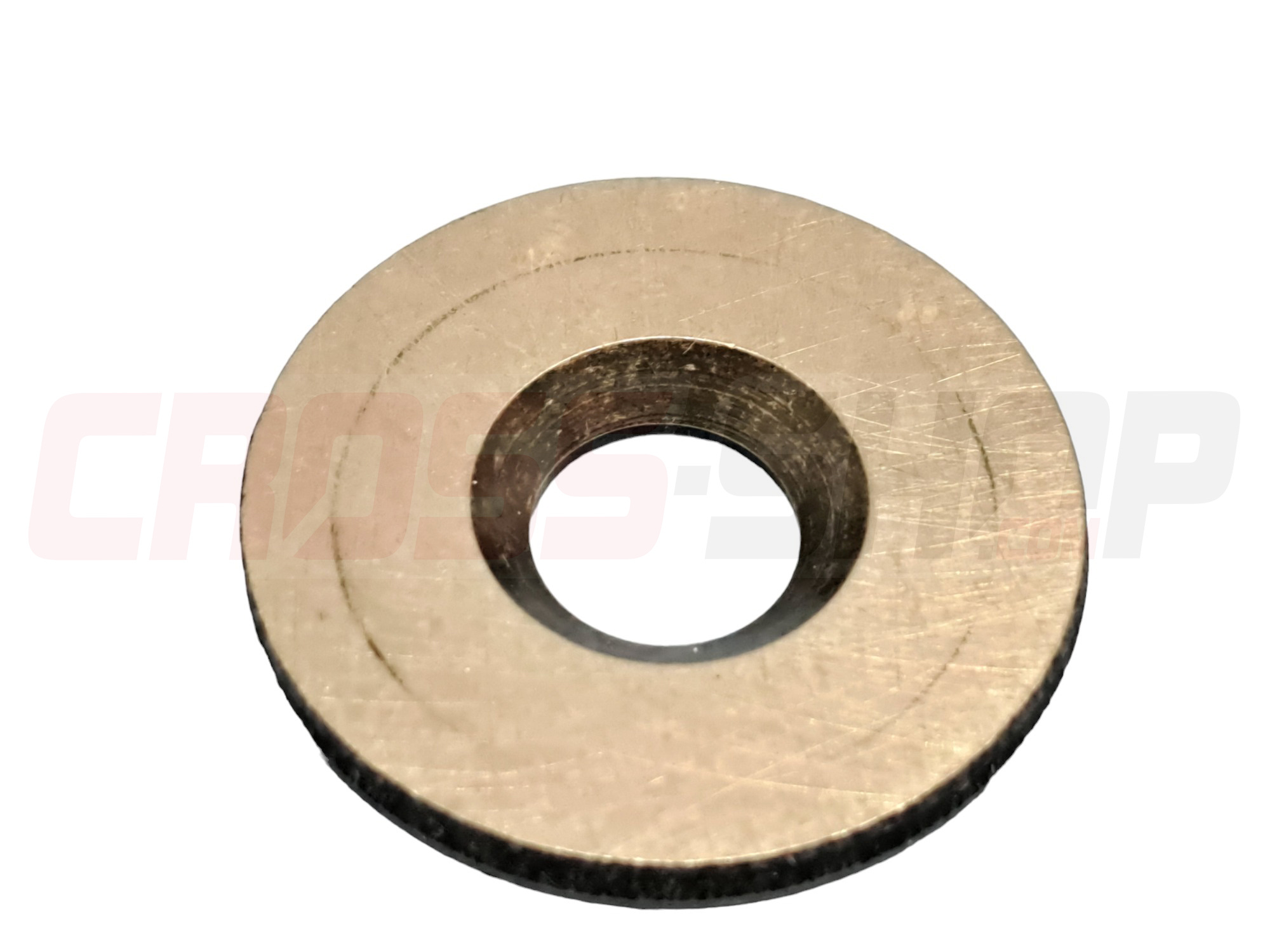 FANTIC - SCHEIBE