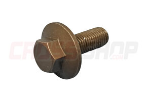 FANTIC - BOLT WITH WASHER